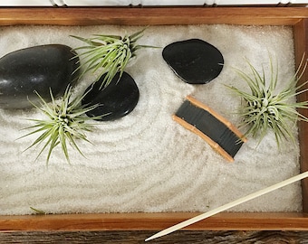 Tillandsia Zen Garden by Zentilly©