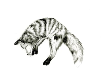 Jumping Fox -- Woodland Animal Print // Pencil Illustration