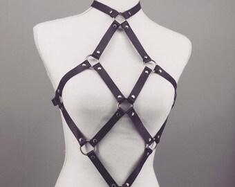 Leather harness