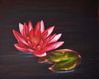 Pink Water Lily - Original Oil Painting