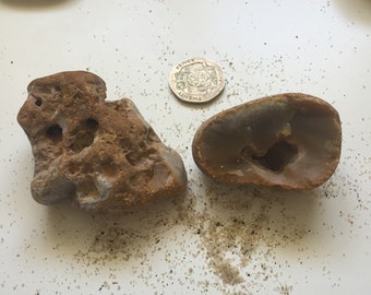 Two hag stones // odin stones // holey stones // fairy stones // adder stones // altar collection // good luck amulet // lucky charm