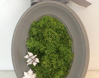 Artistic picture frame of stabilized moss