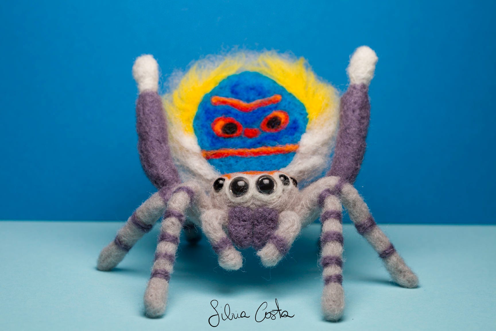 stuffed jumping spider