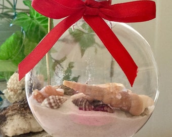 Handcrafted Sea Shell Ornament Shells from Florida