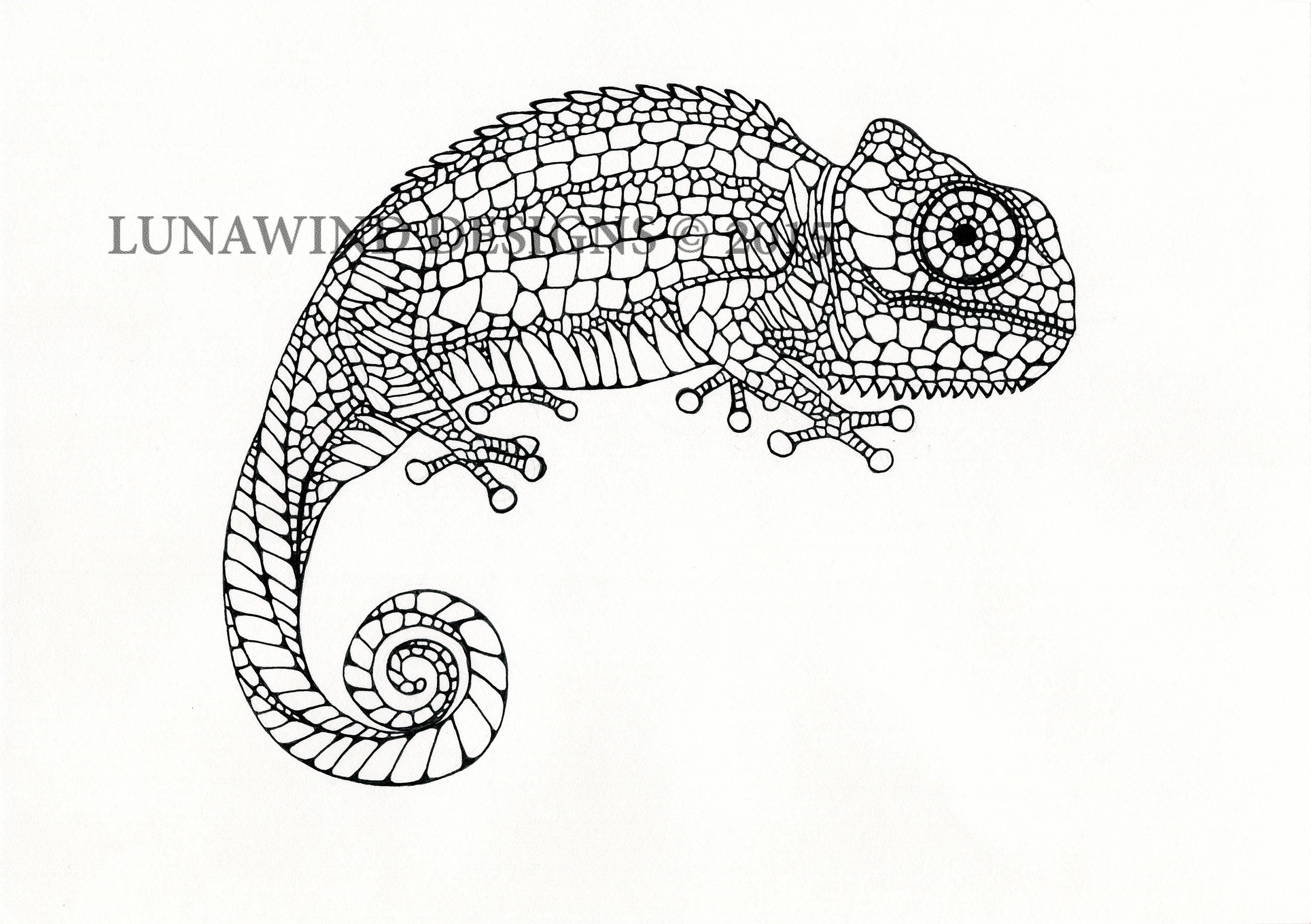 Download Chameleon Lizard Reptile Artwork Coloring Page Nursery Design