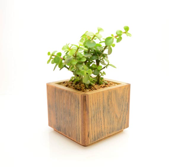 Modern Square Planter Rustic Wood Indoor Flower Pot Decorative Pots For Succulents Large With Drainage Modern Square Planter Rustic Wood Indoor Flower Pot Decorative Pots For Succulents Large With Drainage