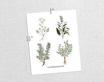 Printable Vintage Aromatic Herbs Parsley Sage Rosemary Thyme Nature Art