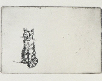 original etching of a sitting cat
