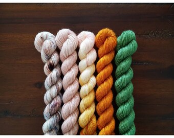 First Thaw mini skein set merino yarn sock yarn