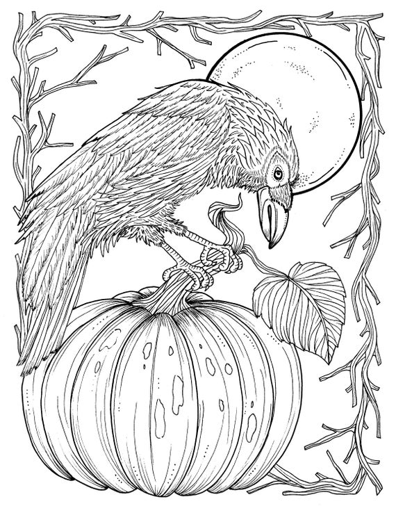 Download Fall Crow Digital Coloring page Thanksgiving harvest Adult