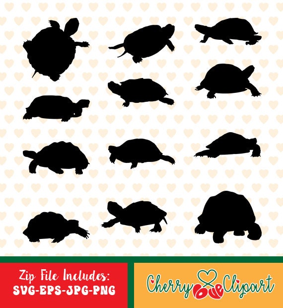 Turtles sale eps svg png and jpg files high resolution