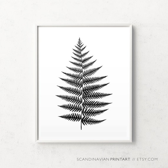 Botanical black white leaf print botanical print fern leaf Botanical black white leaf print botanical print fern leaf
