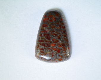 Fossilized Dinosaur Bone Custom Cabochon