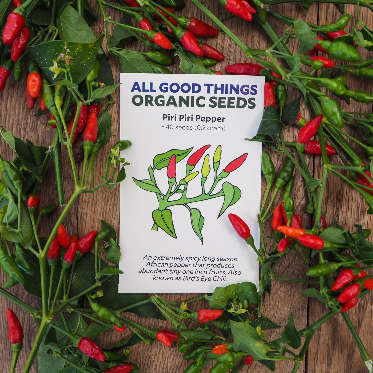 Piri Piri / African Bird's Eye Pepper Seeds 40: