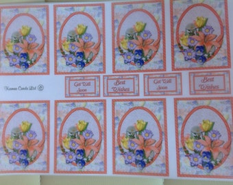 Get Well soon/Best Wishes Floral Vellum Paper Toppers