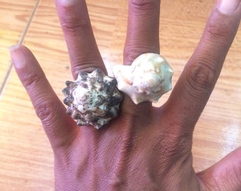 Real Conch Sea Shell Ring, shells ring, shells rings, shell ring, Conch ring, Conch rings, size 8, 8.5, 9 available first photo