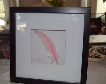 Mounted and framed wish feather