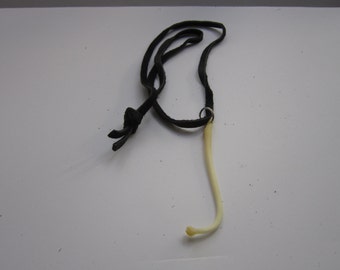 RACCOON PENIS Bone Necklace Dangle The Love Bone Black Buckskin Leather