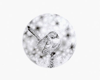 Bird pencil drawing original miniature art