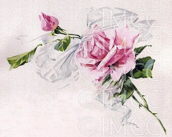 Digital Download SCAN Shabby Vintage Chic Pink Roses and Ribbons