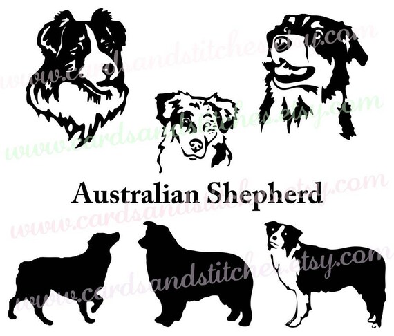 Download Australian Shepherd SVG Aussie Silhouette Dog Breed SVG