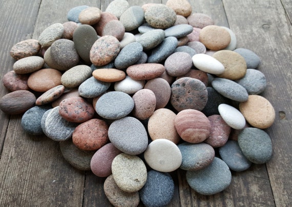 Runde Meer Steine flache Steine 100 Stück Medium Ostsee