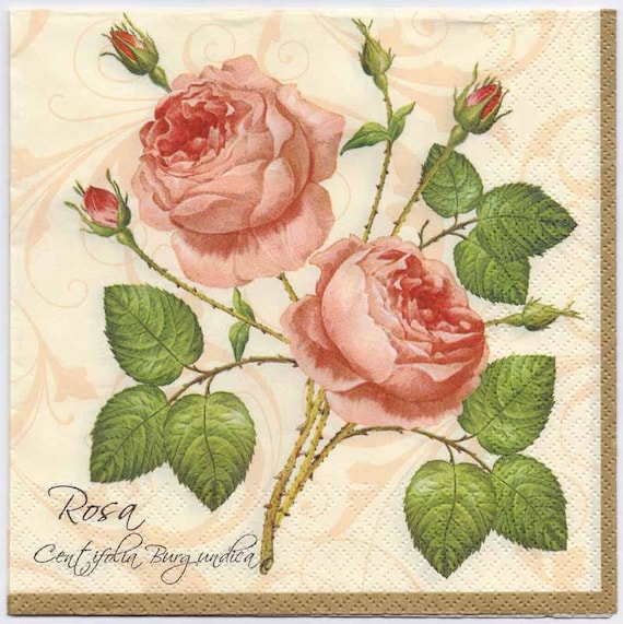 Decoupage Napkins Botanical Print of 2 Pink Roses Rose Decoupage Napkins Botanical Print of 2 Pink Roses Rose