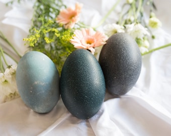 Emu Eggs, Real egg shells, Pysanky, Dragon eggs