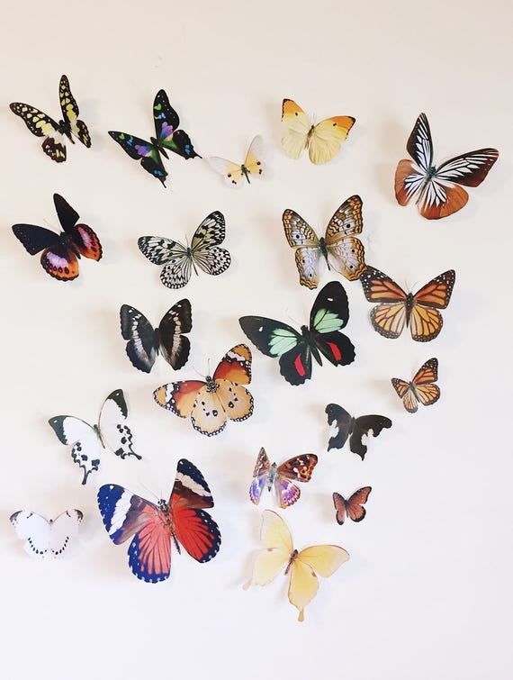 20 hand cut butterflies