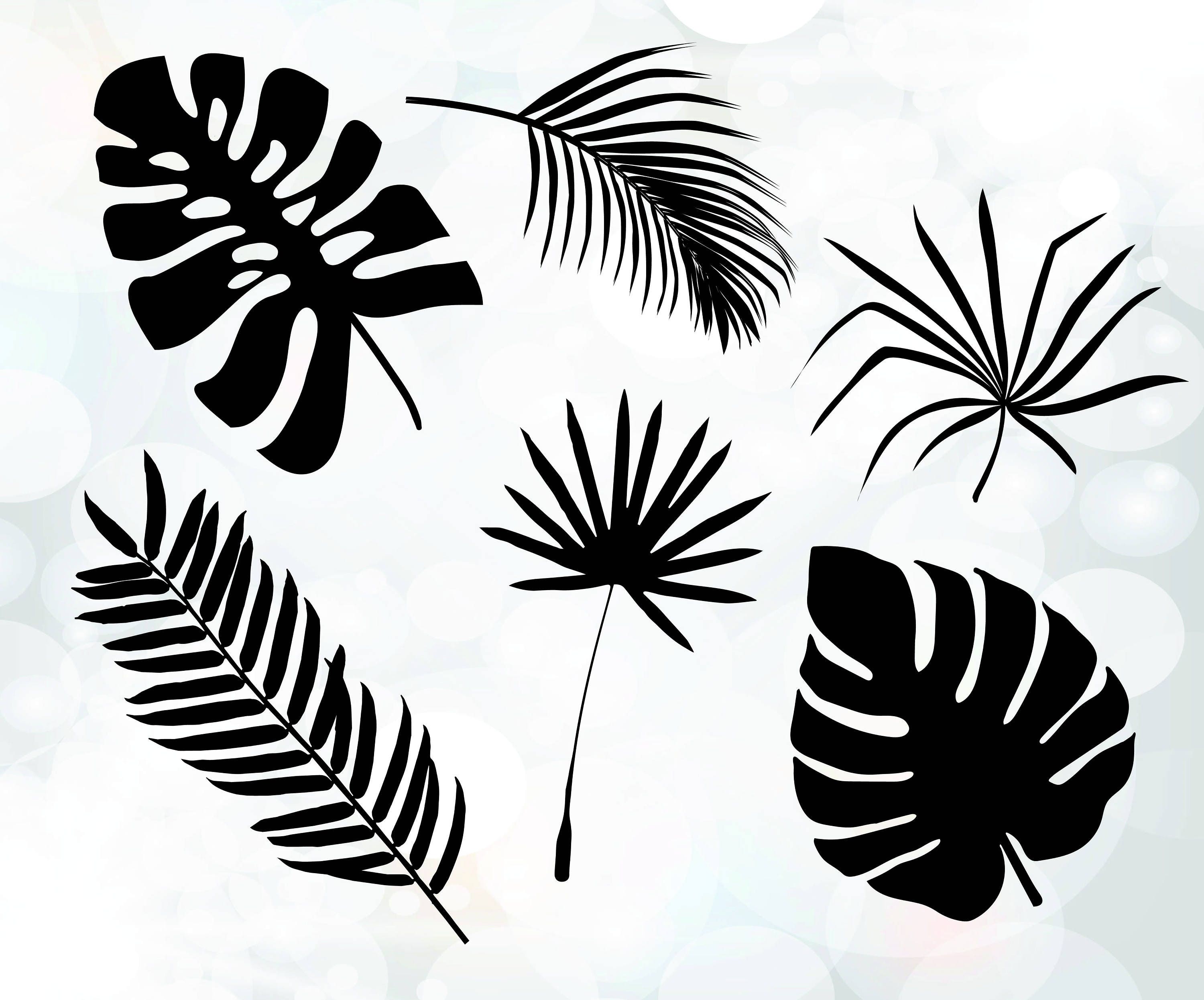Download Palm Leaves Cuttable Design Tree leaves svg Tropical svg