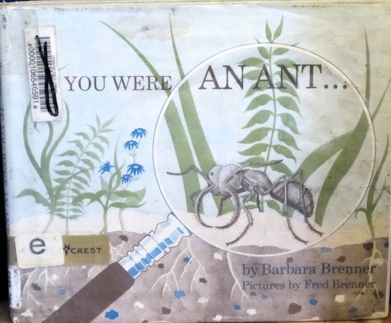 If You Were An Ant. . + Barbara Brenner + Fred Brenner + 1973 + Vintage Kids Book