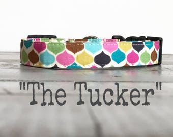 DOG COLLARS, Dog Collar, The TuCKER, Classic Dog Collars, Jewel