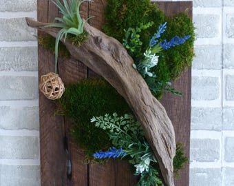 Green wall- wall decor- vertical garden- faux air plant evergreen arrangement with driftwood