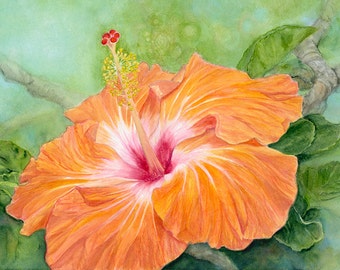 Orange Hibiscus Painting Art Print
