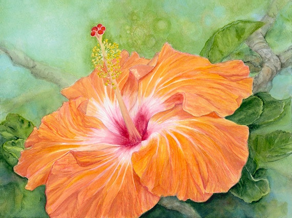 Orange Hibiscus Painting Art Print