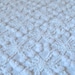 Beautiful Cabin Crafts White Wedding Ring and Pops Vintage Cotton Chenille Bedspread Fabric 20 X 24 Inches