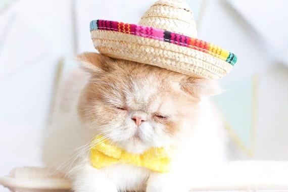 Sombrero + Bow Tie || Mini Sombrero || Dog Hat || Straw Hat || Mini Sombrero || Fiesta Party || Fiesta Hat