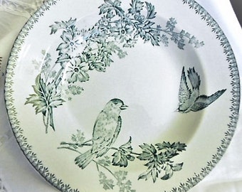 Granit-de-Longwy-Plate-hollow-blue-decor-aux-oiseaux late nineteenth century Granit-de-longwy-assiette-creuse-bleu-decor-aux-oiseaux late XIX