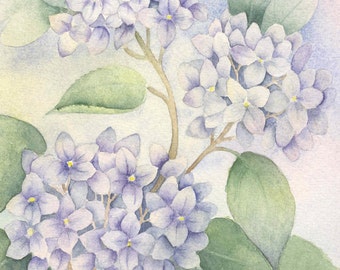 Hydrangea Painting, Watercolor Art Print, Hydrangea Art Print, Blue Hydrangea Watercolor Print
