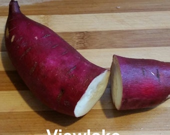 Japanese Sweet Potato Plant - Organically Grown - Rich in Dietary Fiber, Antioxidants, and Vitamin A