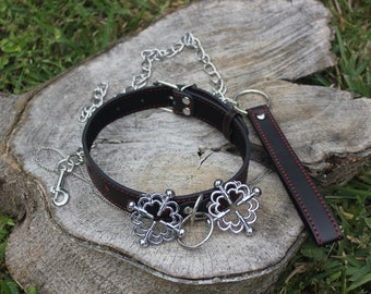 Lil ass collar and leash | Sex photo) Lil ass collar and leash