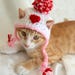 Valentines Day Hat for Cats Heart Cat Hat Valentines Day Cat