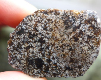 Horse Canyon Agate Preform Cabochon
