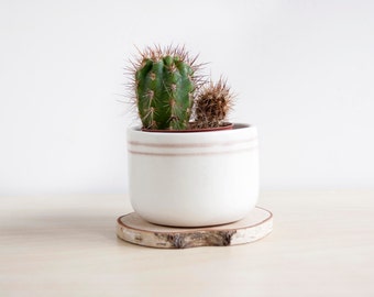 Ceramic succulent pot, Succulent planter, Ceramic plant pot, Cactus planter, Ceramic planter, Ceramics & pottery, Succulents pots, Planters