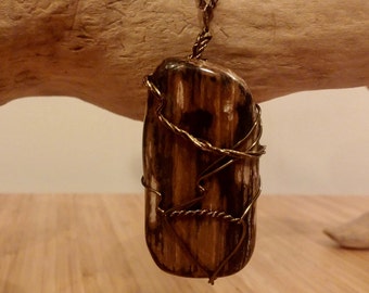 Petrified Wood Wire Wrapped Pendant