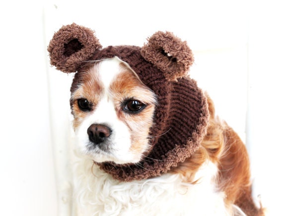 tricoter un snood pour chien