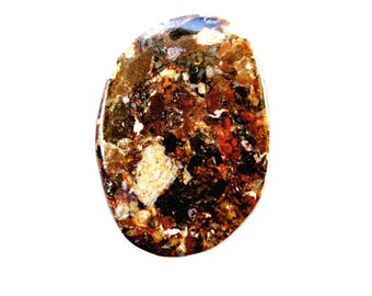 Dinosaur Bone Designer Cabochon