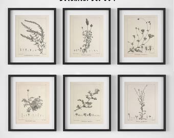 Botanical Print Set of 6, Botanical Wall Art, Floral Print Set, Vintage Botanical Prints, Antique Floral Art, Botanical Illustrations