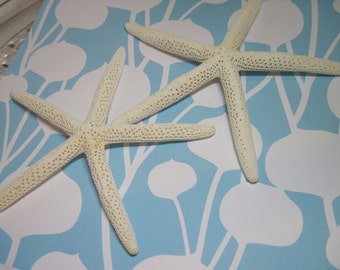 2 Glittery White Starfish Sea Stars - 7 inch Fingerlings -