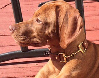Designer Leather Dog Collar with Snaffle Buckle -- Genuine leather